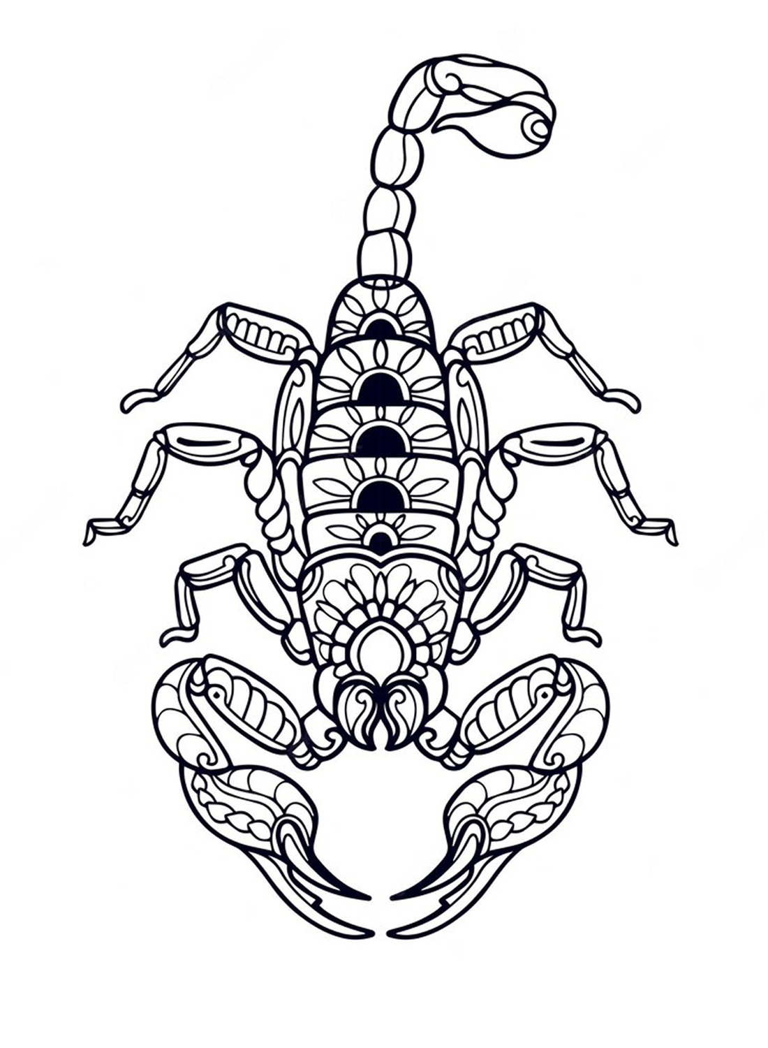 A giant Scorpion Coloring Page - Free Printable Coloring Pages