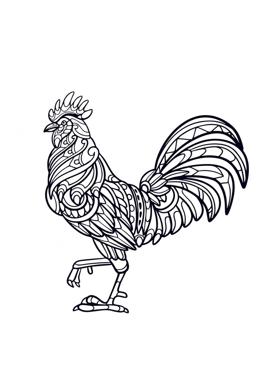 来自 Rooster 的图案公鸡