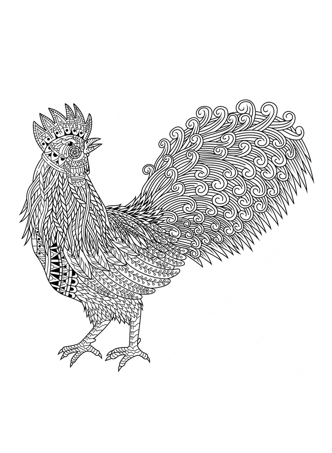 Un gallo con estampado de Rooster.