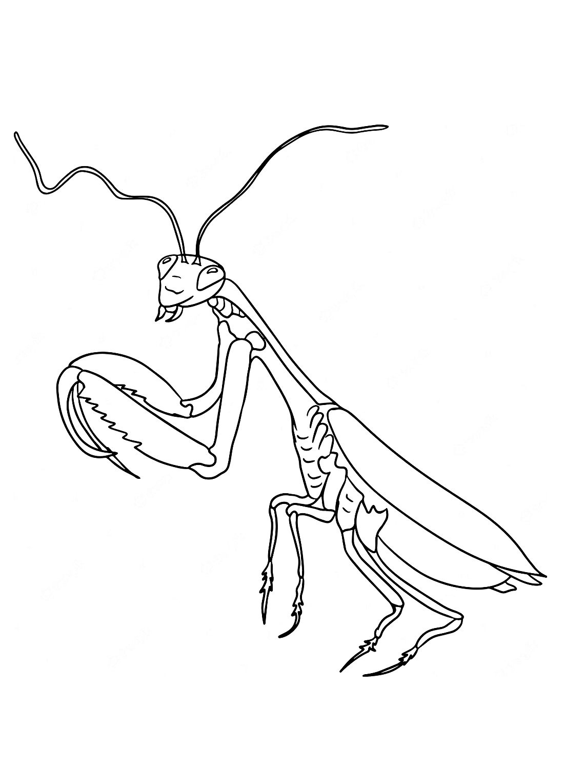 Een hoge bidsprinkhaan van Praying mantis