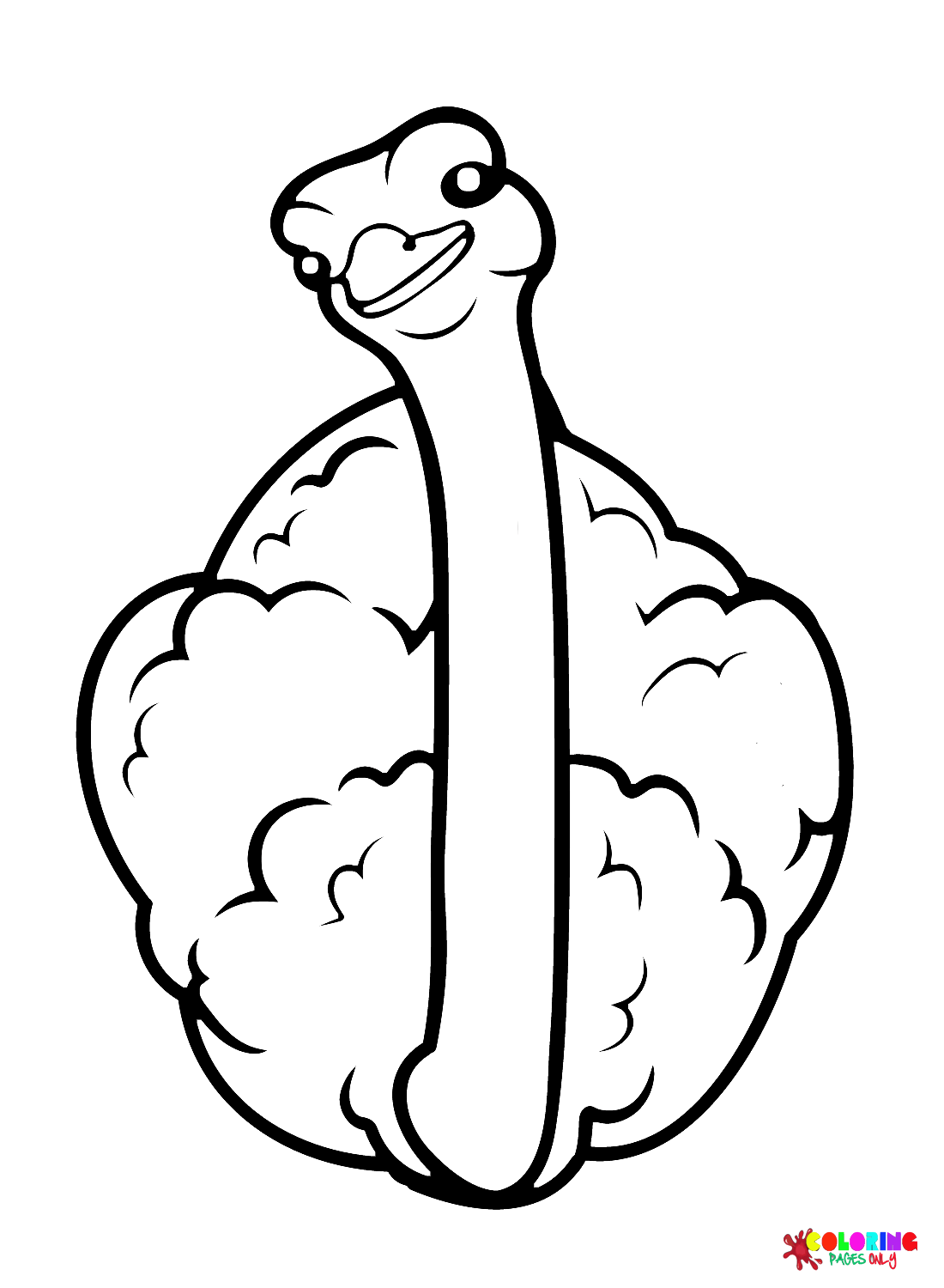 Adorable Ostrich from Ostrich