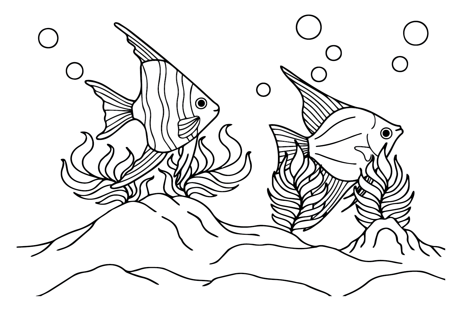 Angelfish to Color Coloring Pages