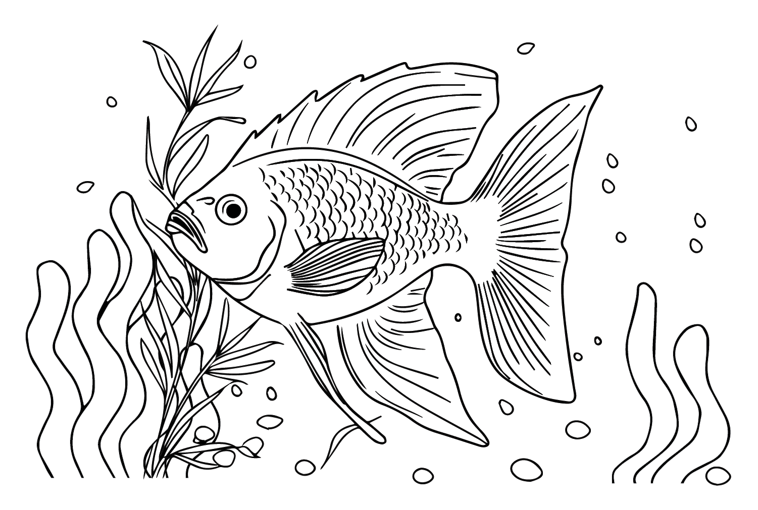 Angelfish Drawing Coloring Page - Free Printable Coloring Pages