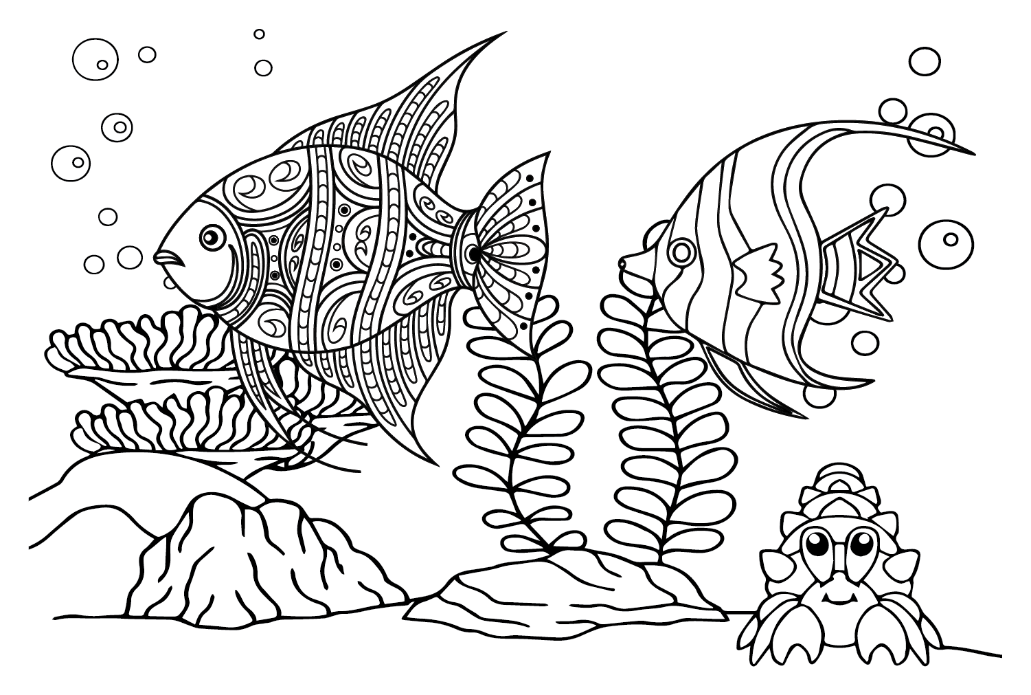Angelfish Printable from Animals
