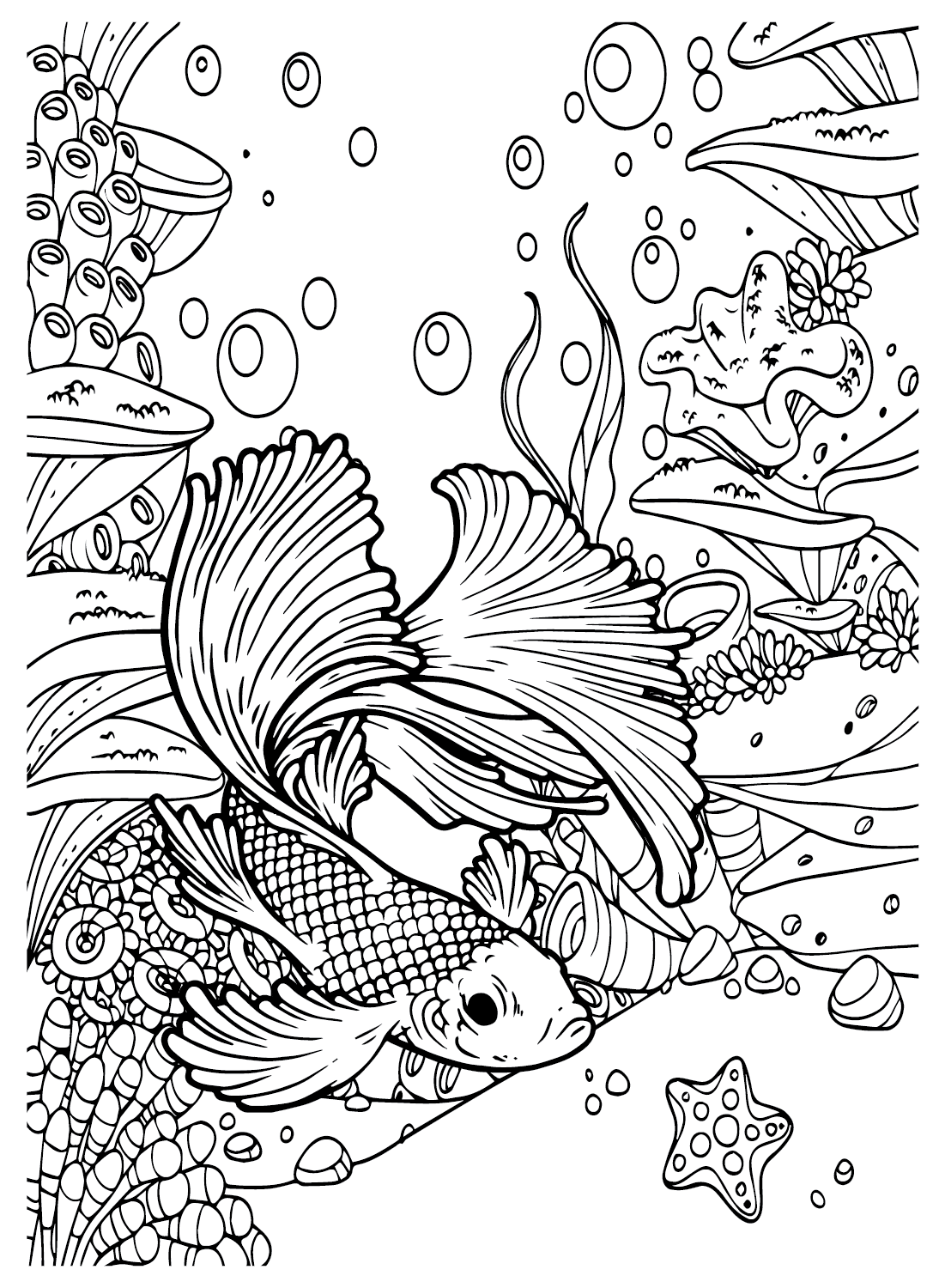 Kunst Betta Fish van Betta Fish