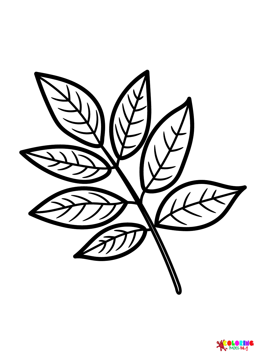Página para colorir folha de freixo