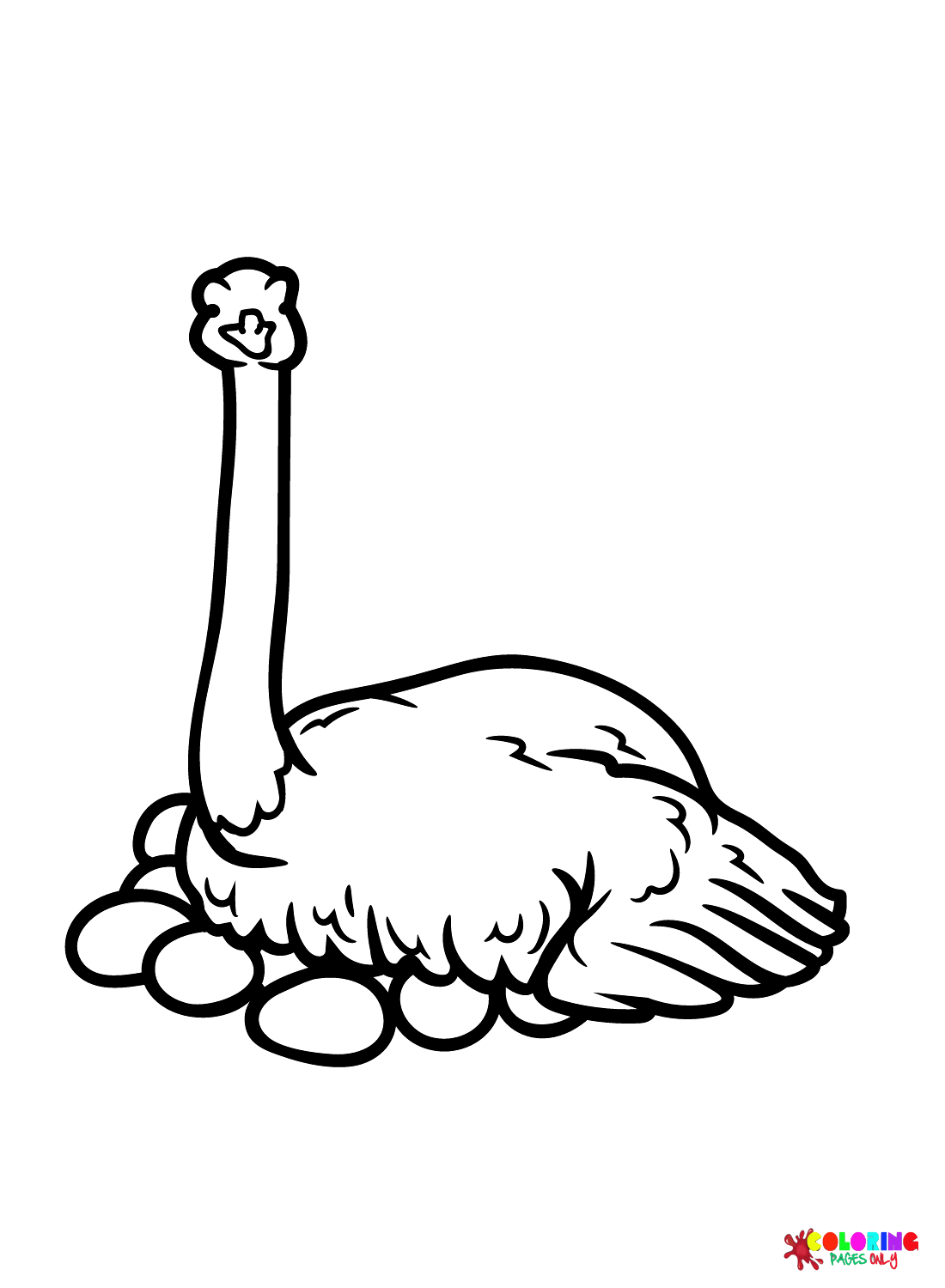 Australische Emu van Emu