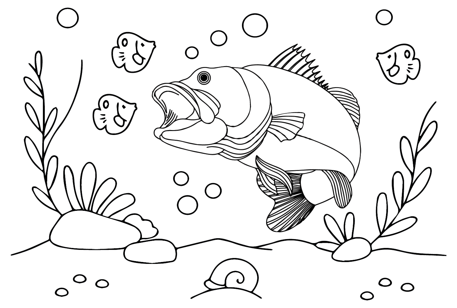 Bass Fish Coloring Pages - Free Printable Coloring Pages