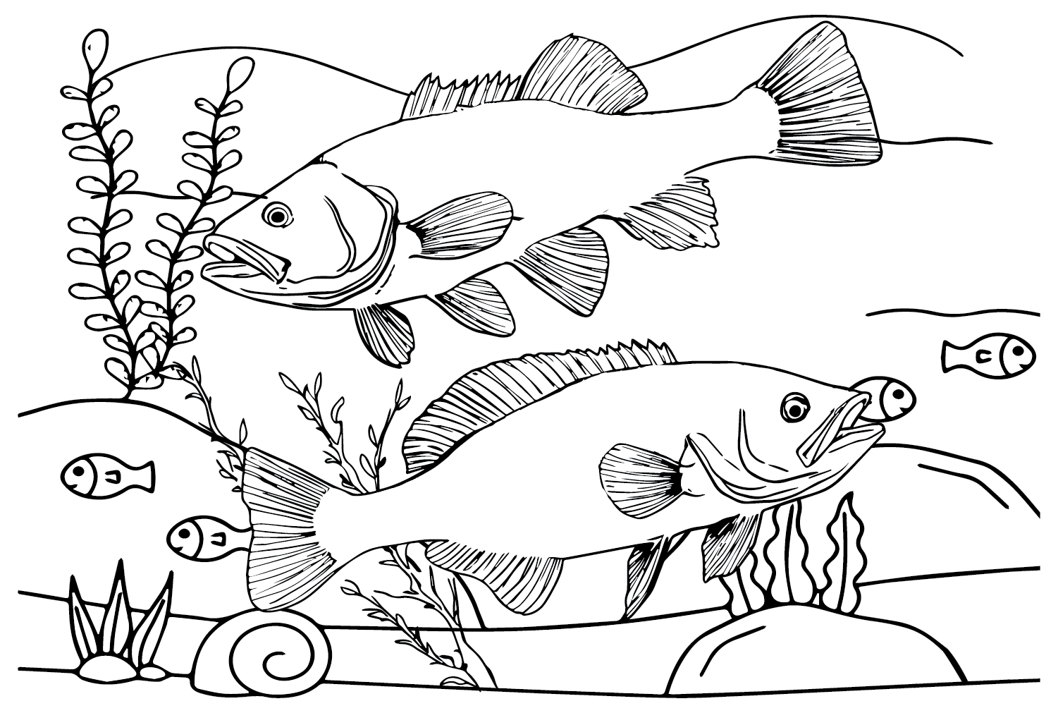 Basses Fish Wallpaper von Bass Fish