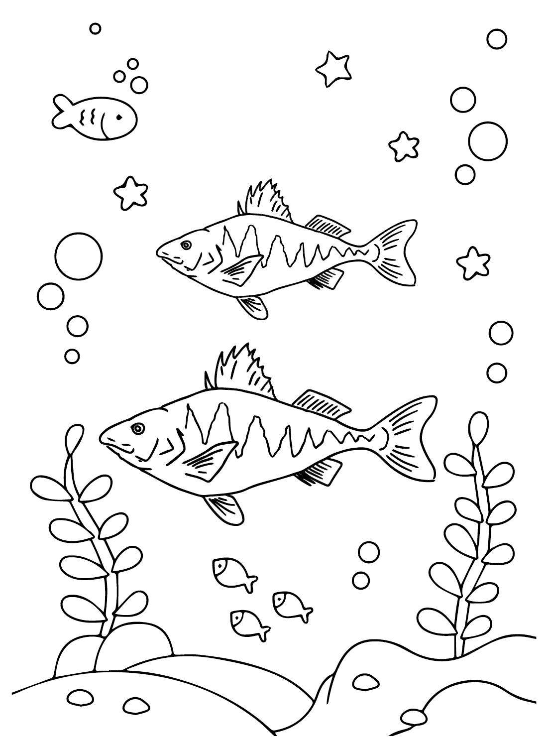 Peixe baixo para colorir de peixe baixo