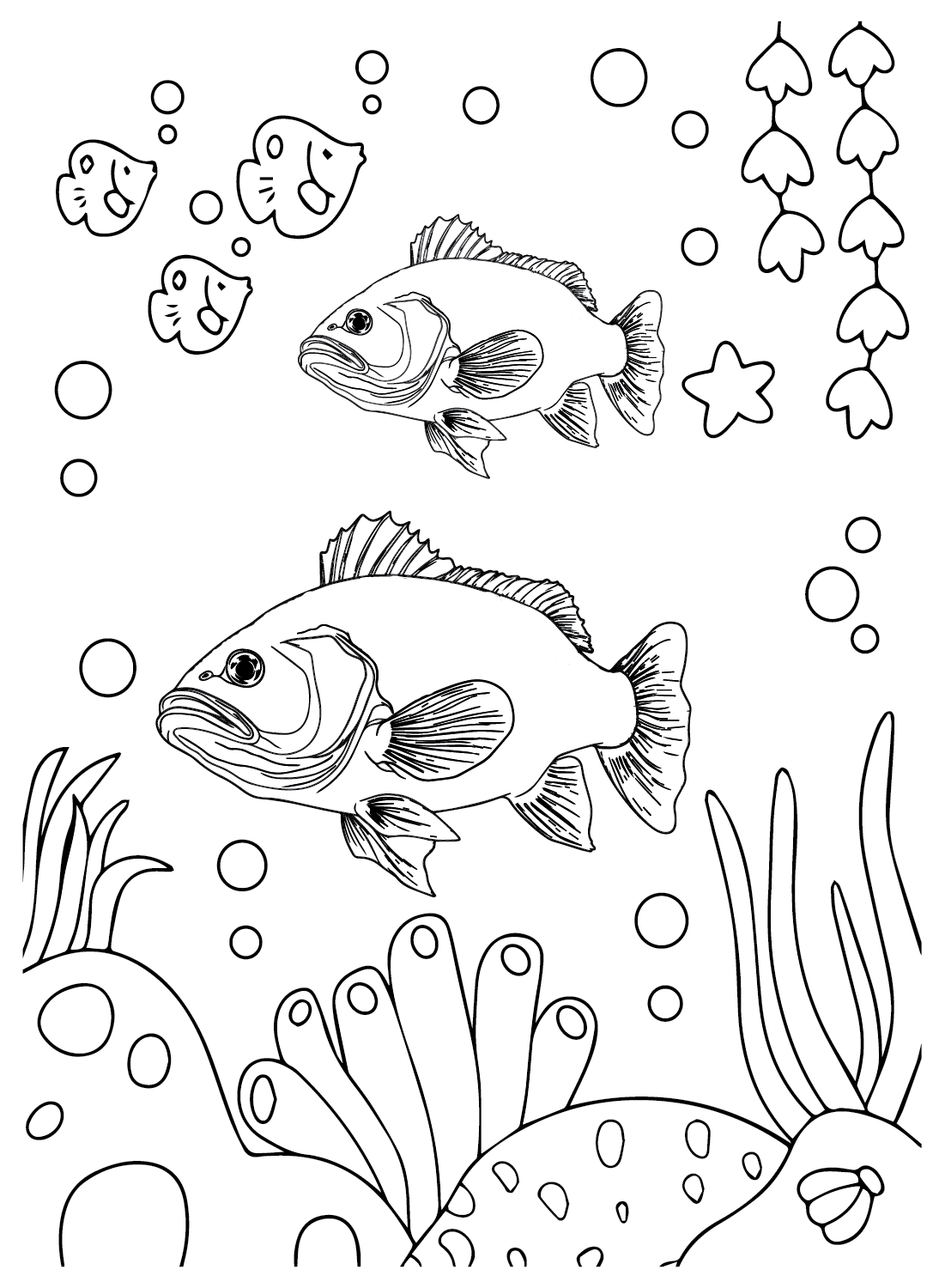 Bass Fish para imprimir de Bass Fish