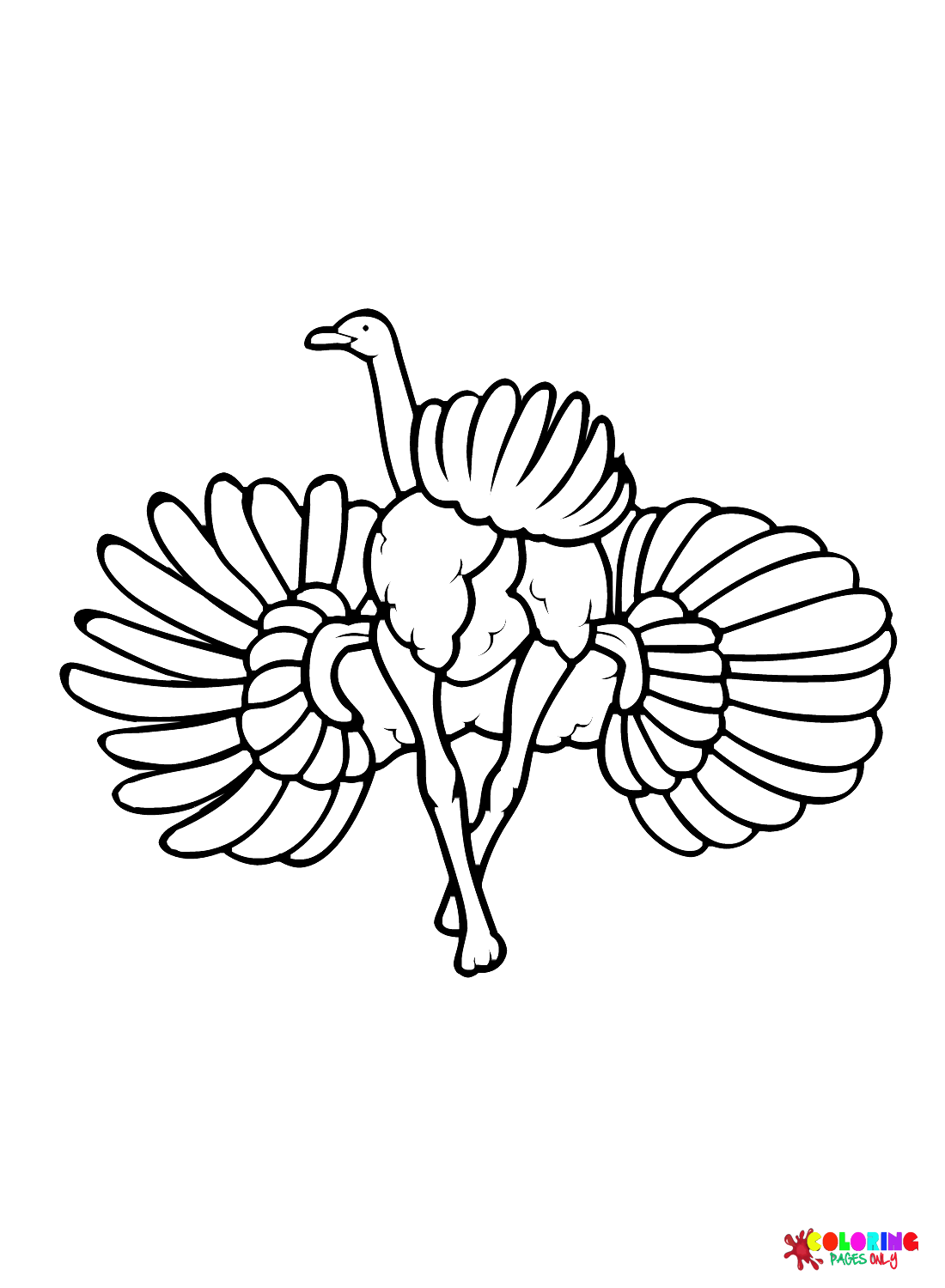 Mooie Struisvogel voor Kinderen van Struisvogel