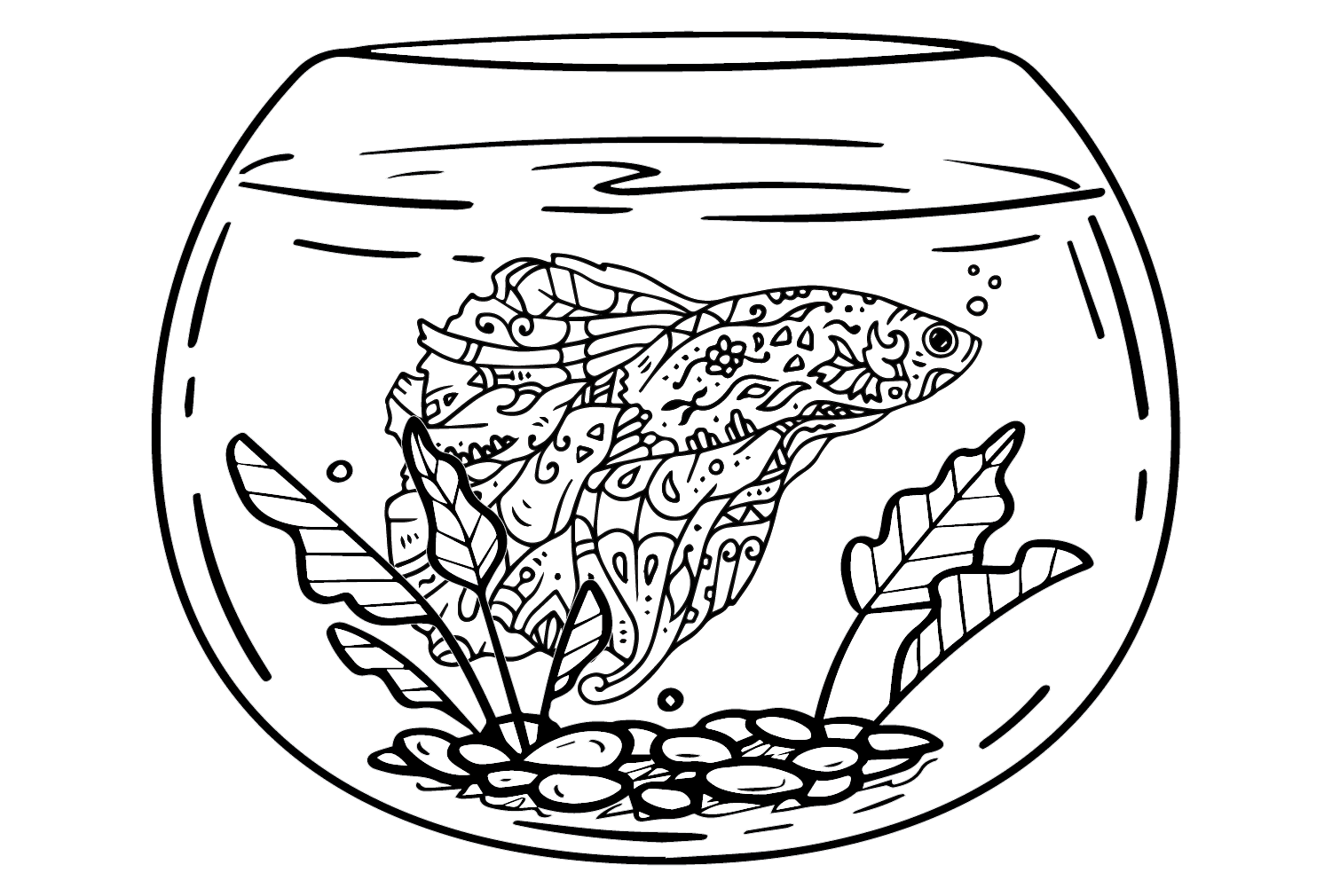 Аквариум с бойцовыми рыбками от Betta Fish