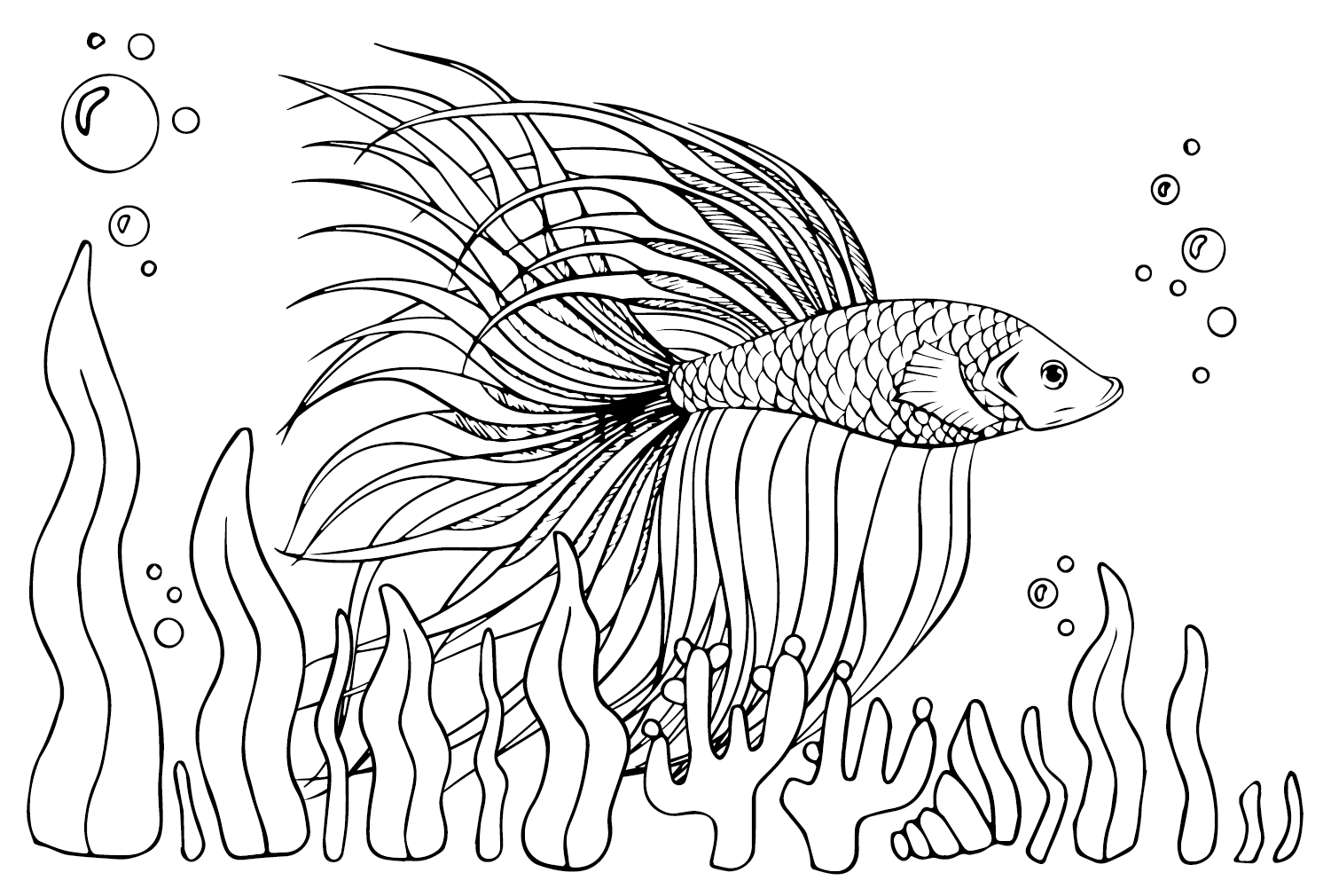 Betta Fish Drawing Coloring Page - Free Printable Coloring Pages