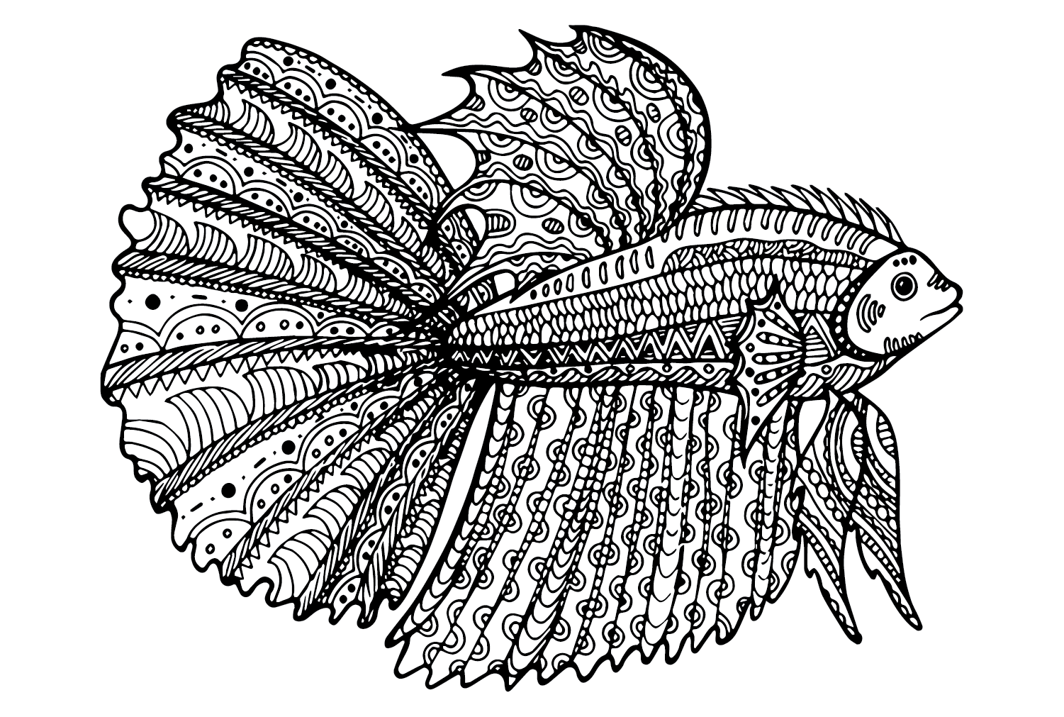 Betta Fish Hand Drawn Coloring Page - Free Printable Coloring Pages
