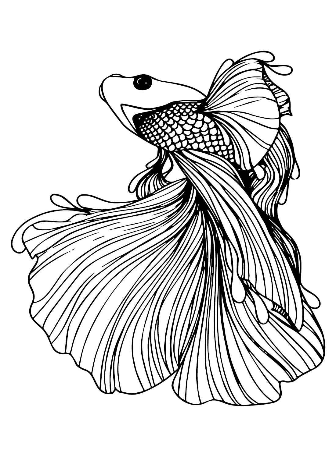 Fish Betta Coloring Pages Drawing Pdf Fighting Siamese Color Printable Fish Betta Coloring Pages Drawing Pdf Fighting Siamese Color Printable
