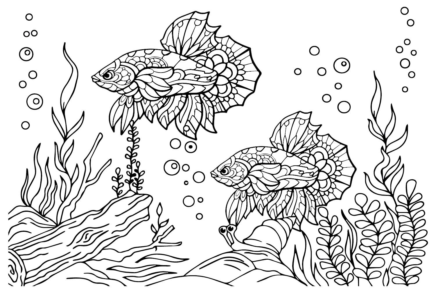 Betta Fish Pictures Coloring Page - Free Printable Coloring Pages