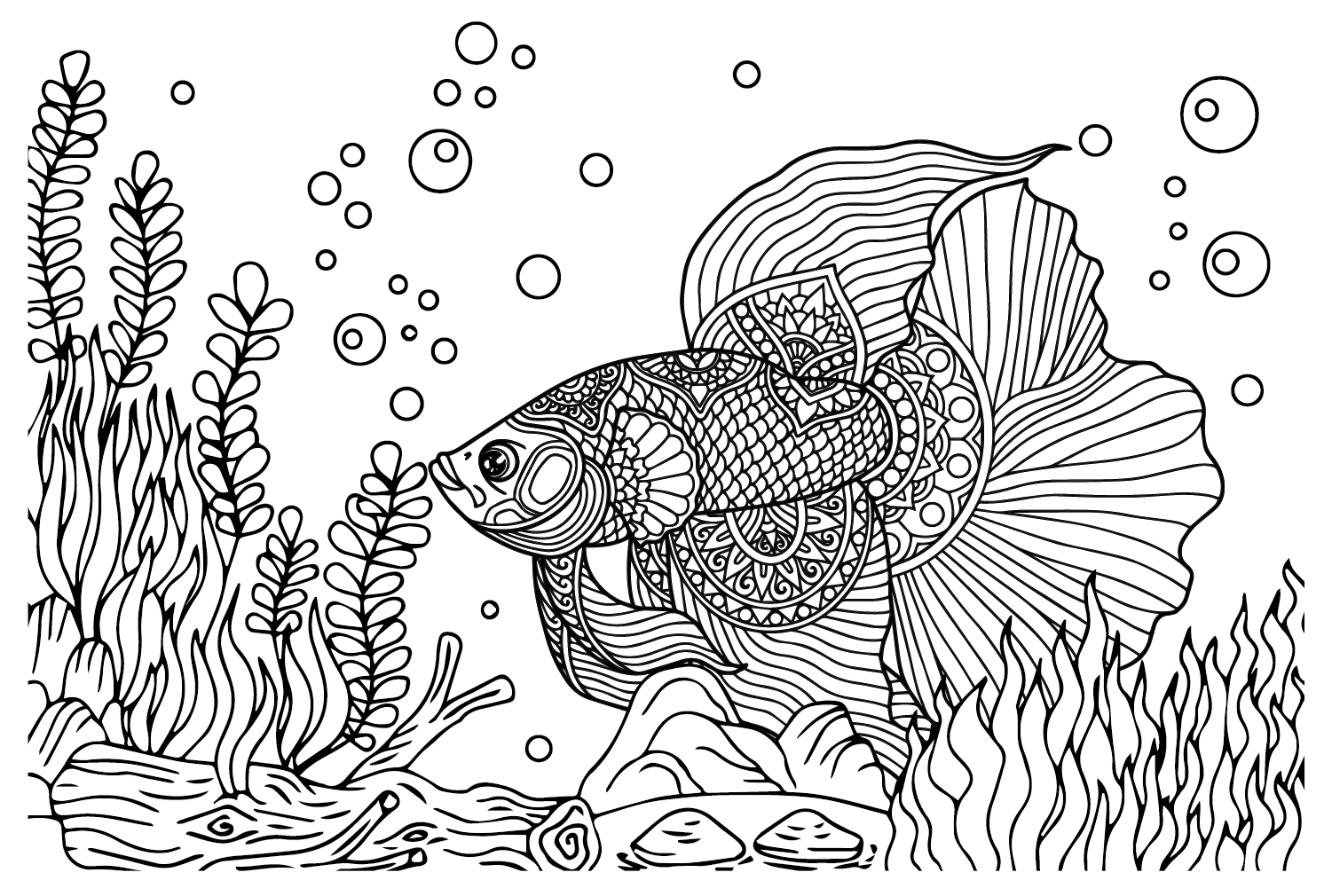 Betta Fish to Color Coloring Page - Free Printable Coloring Pages