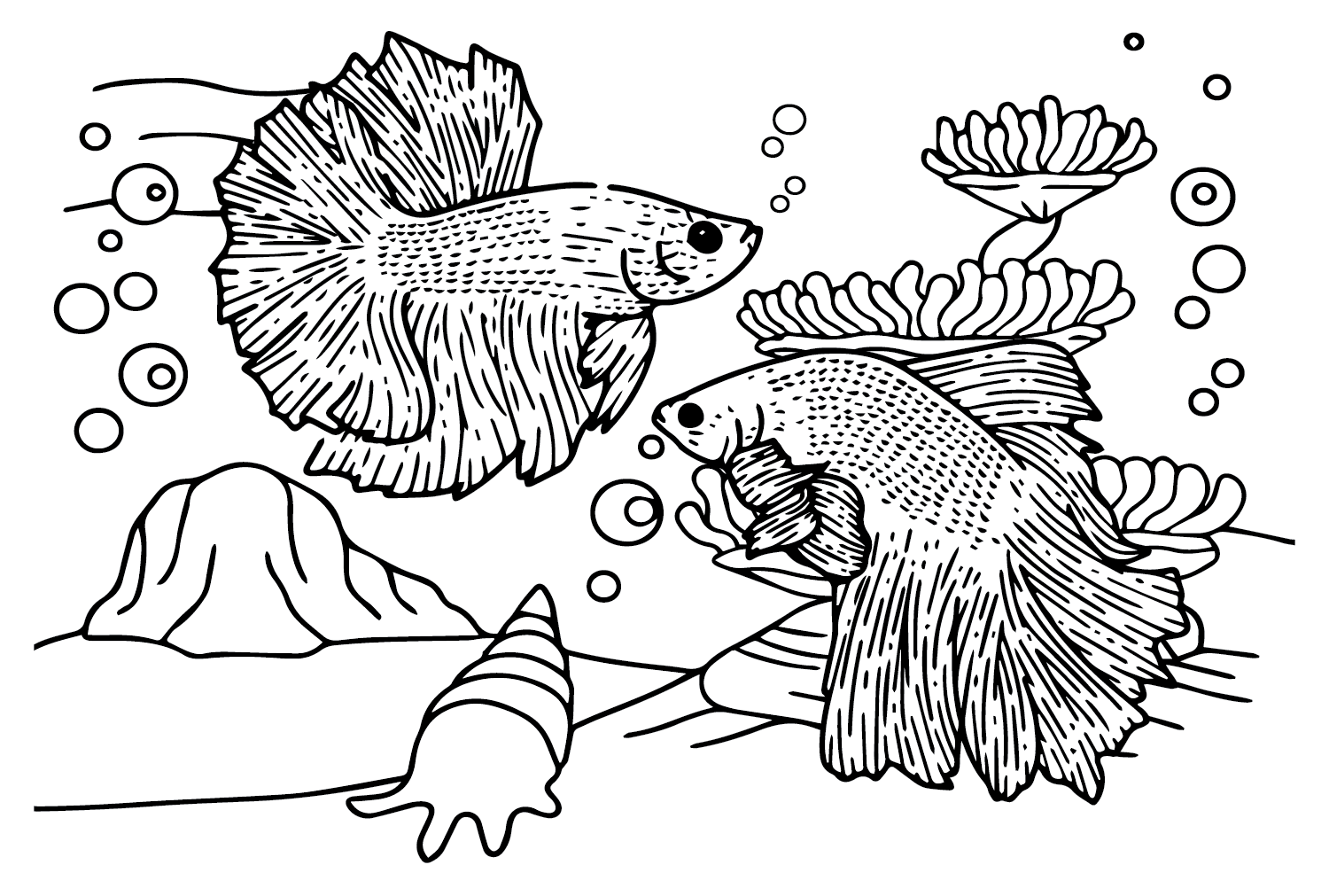 Betta Fish to Download Coloring Page - Free Printable Coloring Pages