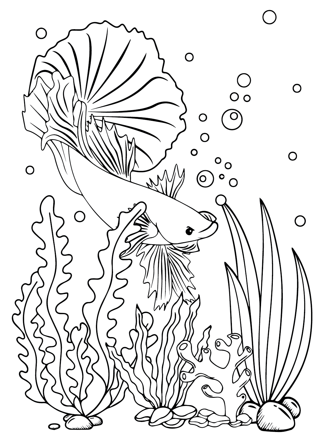 Betta Fish to Print Coloring Page - Free Printable Coloring Pages