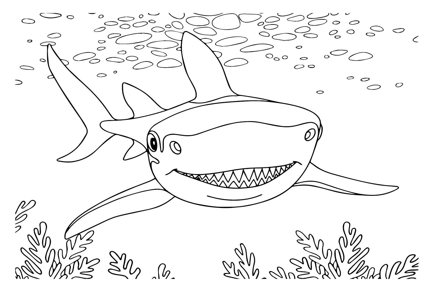 大白鲨中最大的大白鲨
