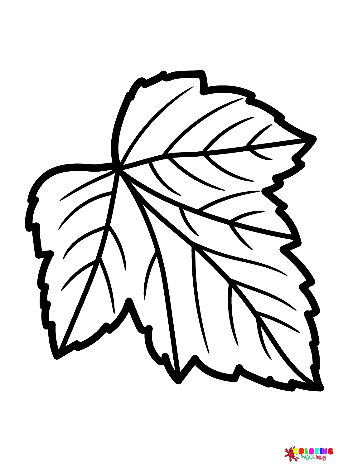 Página para colorir folha de groselha