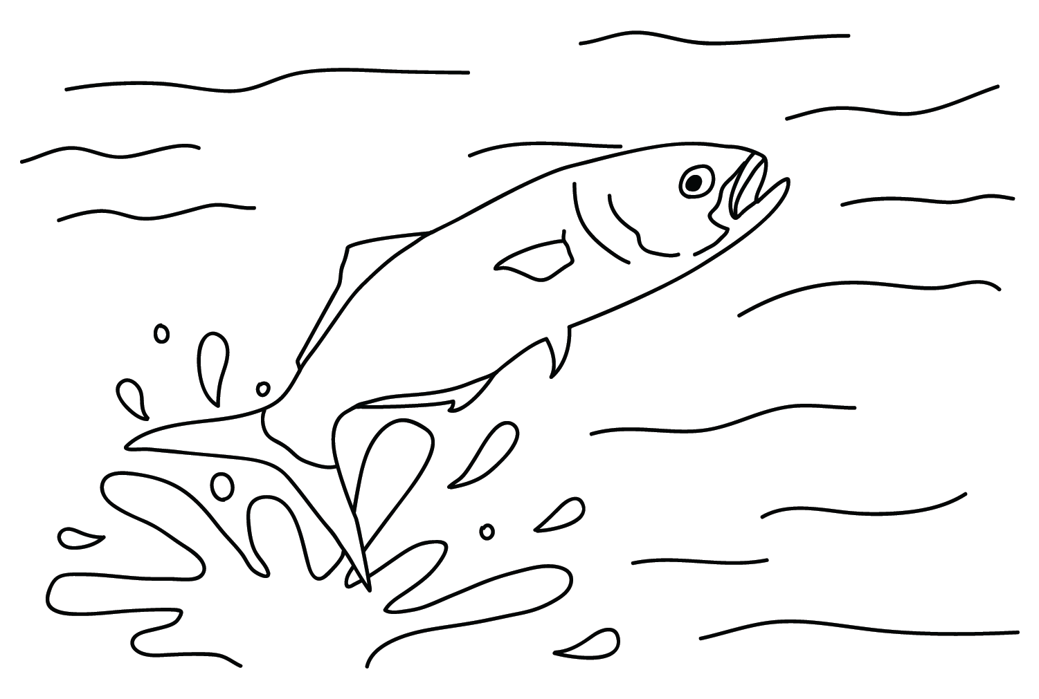 Bluefish sur l'eau de Bluefish