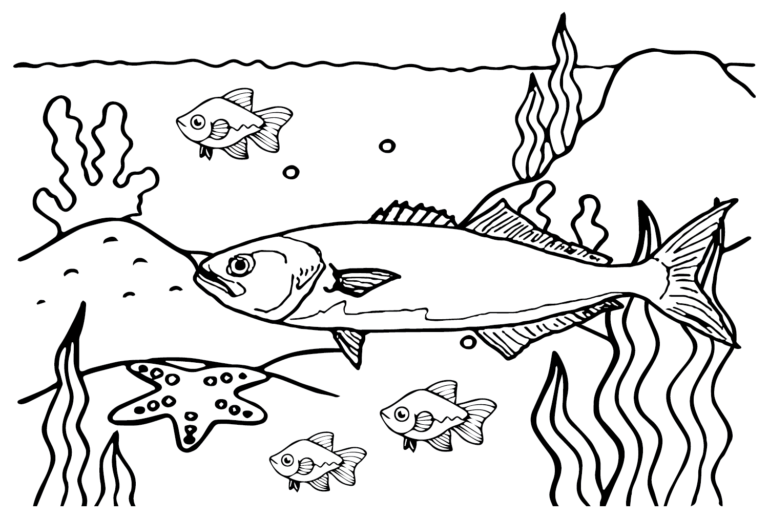 Poisson bleu sous la mer de Bluefish