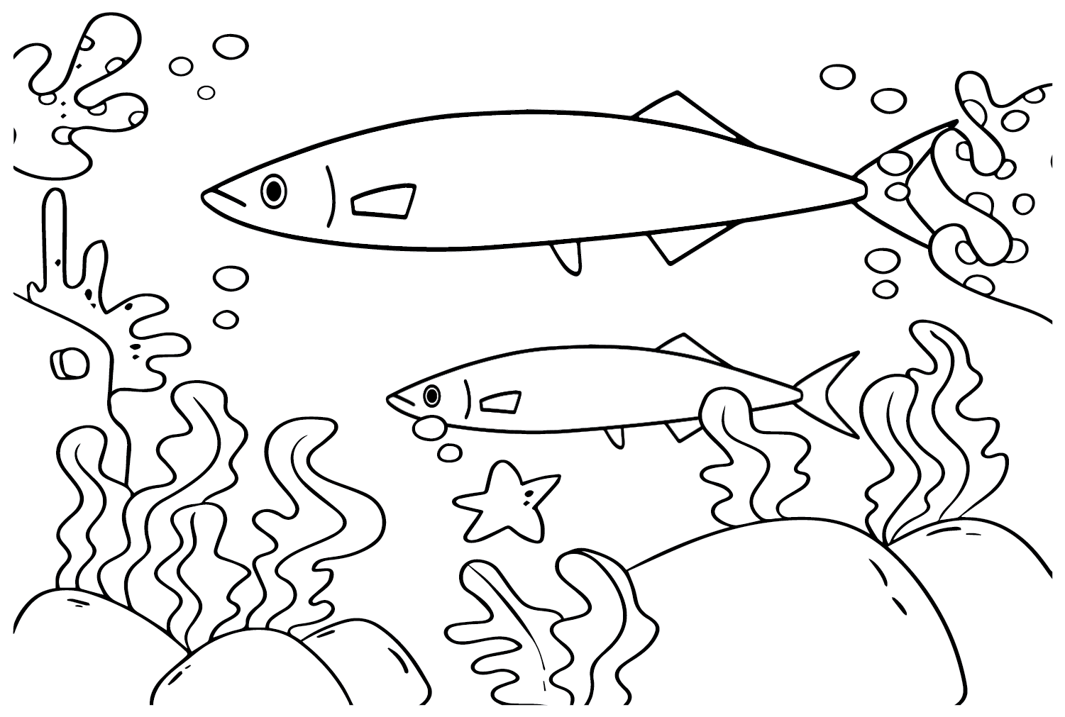 Bluefish unter Wasser von Bluefish