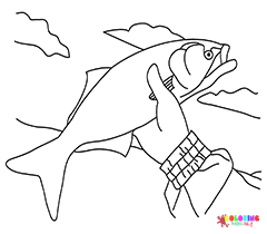 Bluefish Coloring Pages