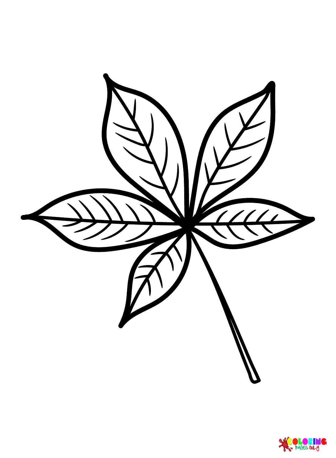 Foglia di Buckeye dalle foglie