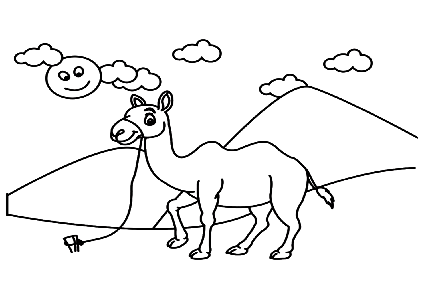 Camello atado por una cuerda de Camel