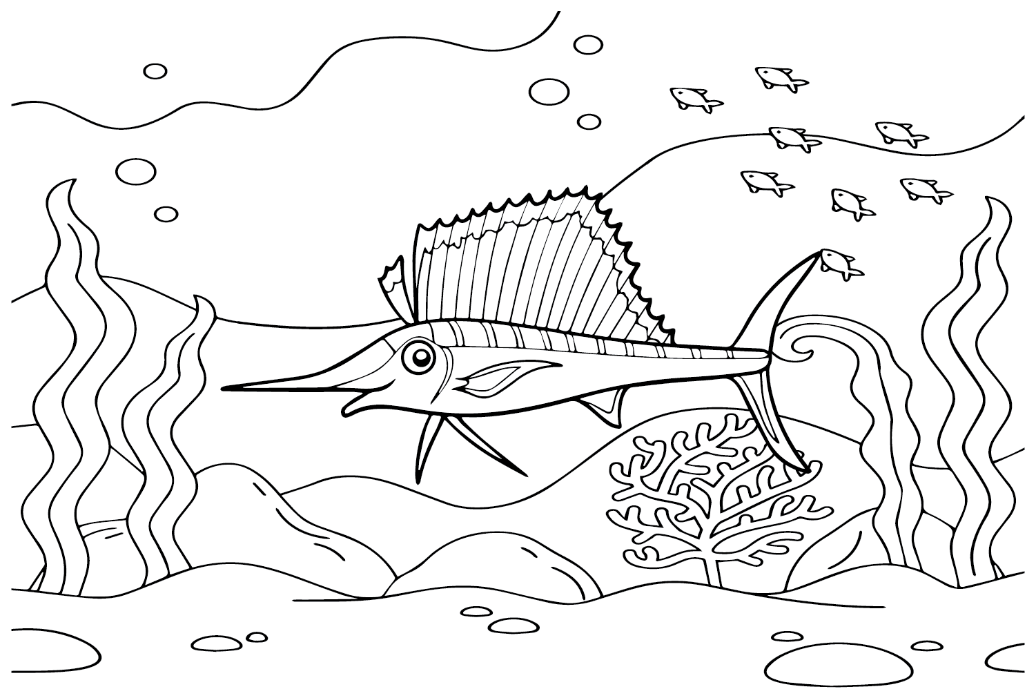 旗鱼的卡通旗鱼