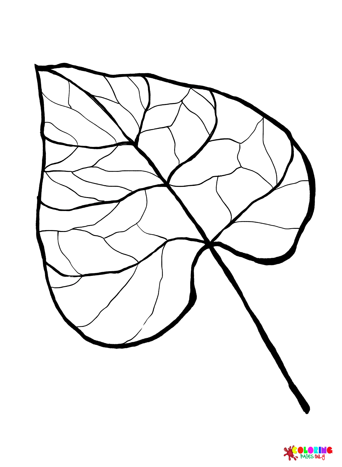 Foglia di Catalpa dalle foglie