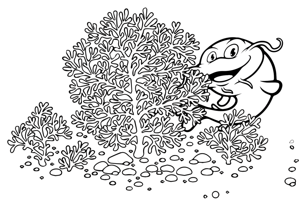 20+ Catfish Coloring Pages - Free Printable PDF & Online Coloring