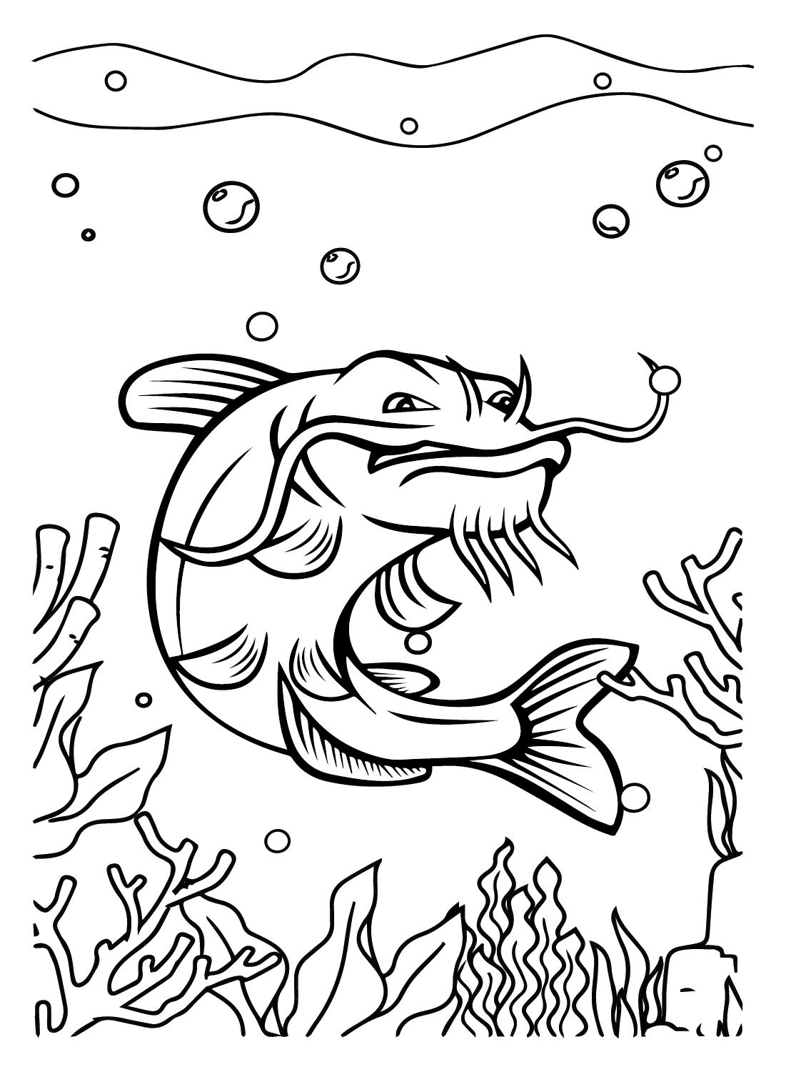 Catfish to Color from Catfish