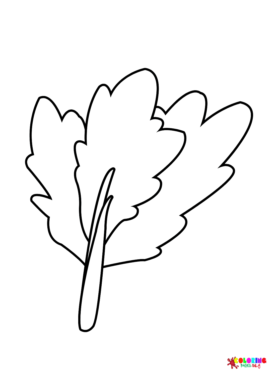 Листья сельдерея из сельдерея