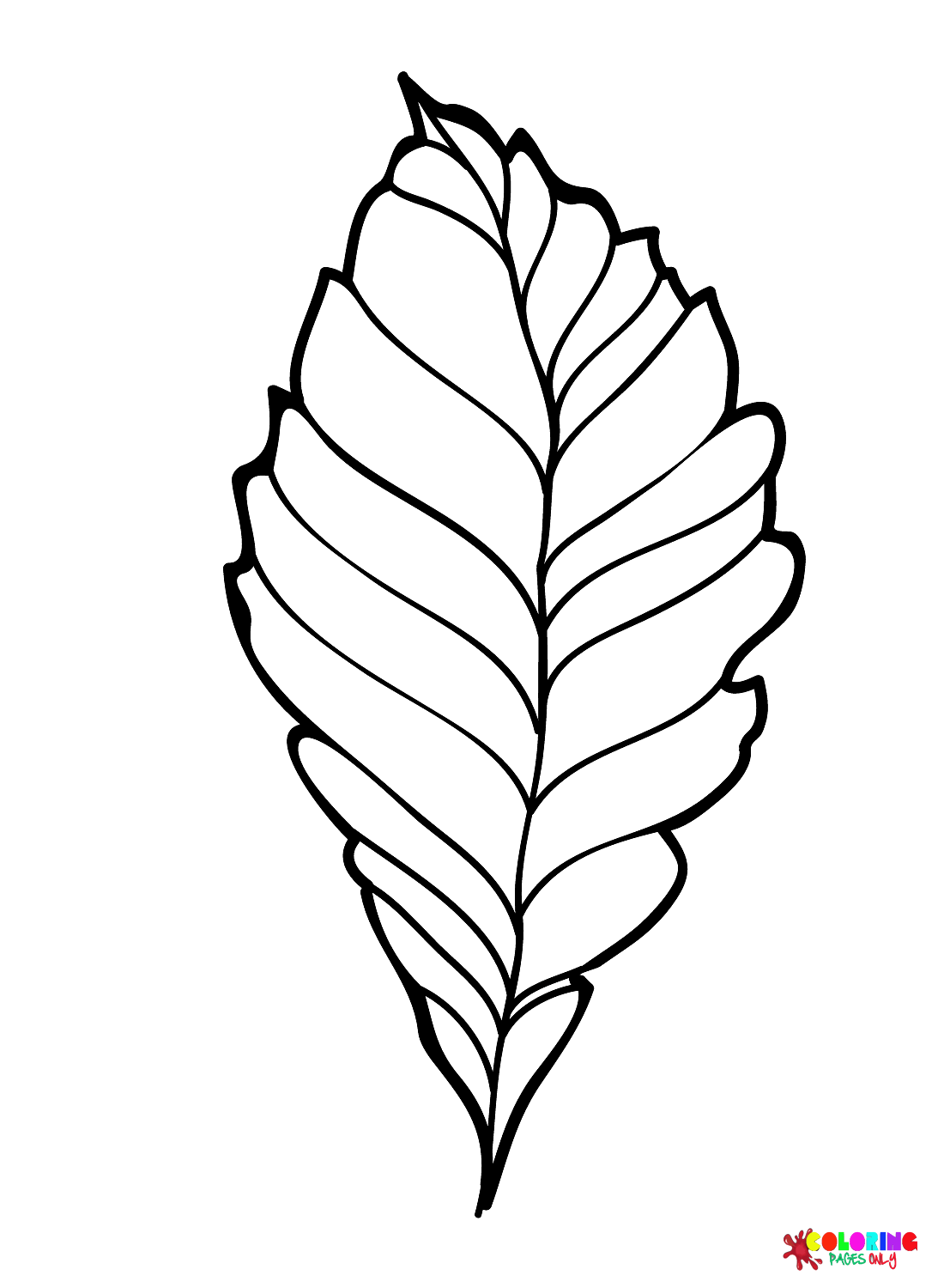 Chestnut Leaf from Leaves