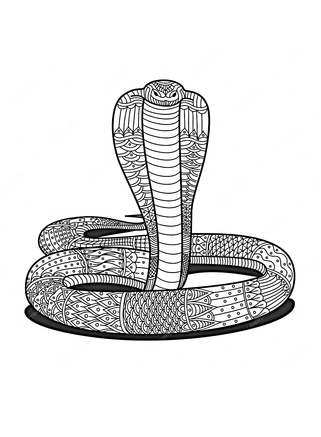 snake cobra drawing