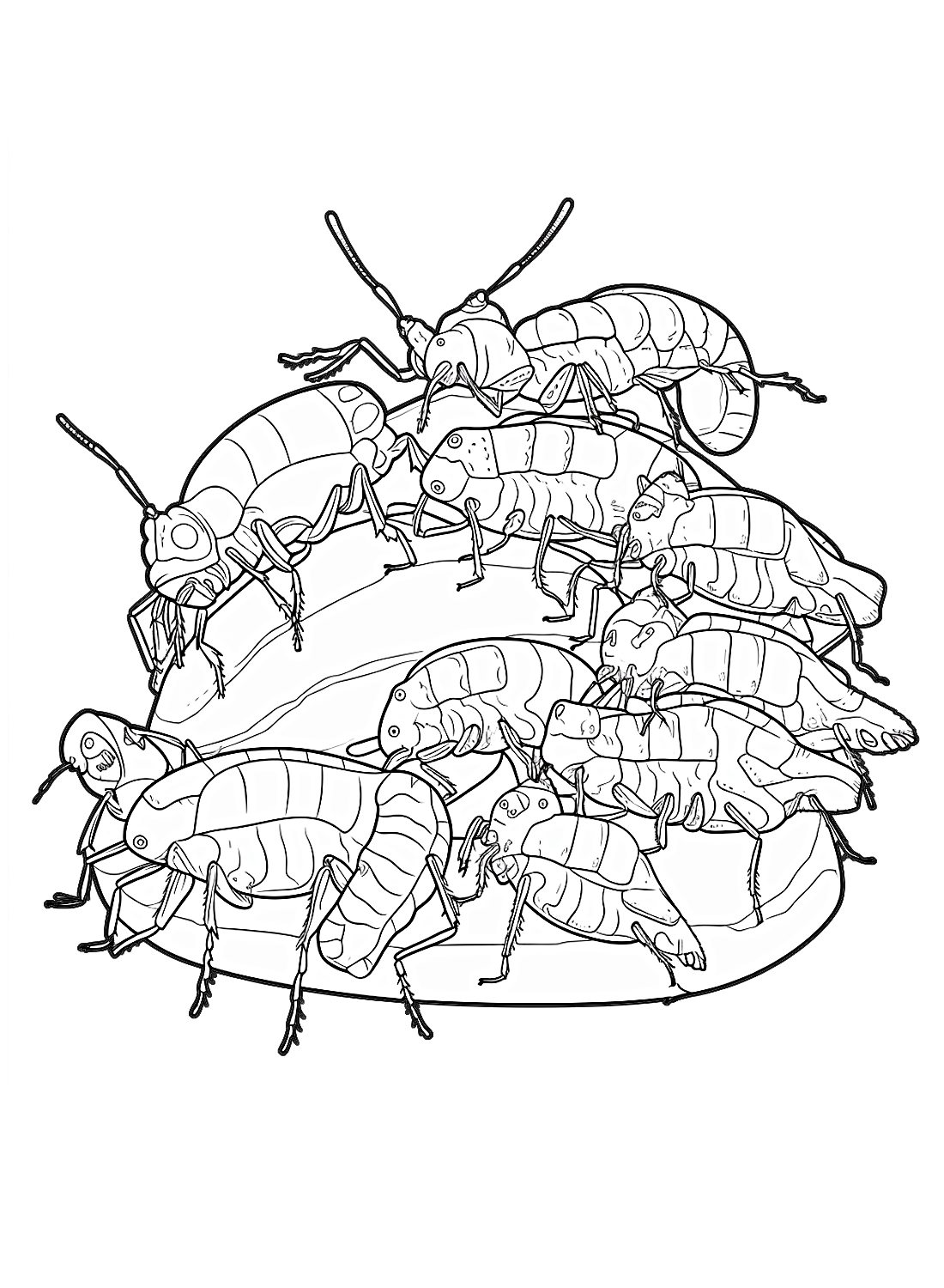 Kakkerlakken van Kakkerlak