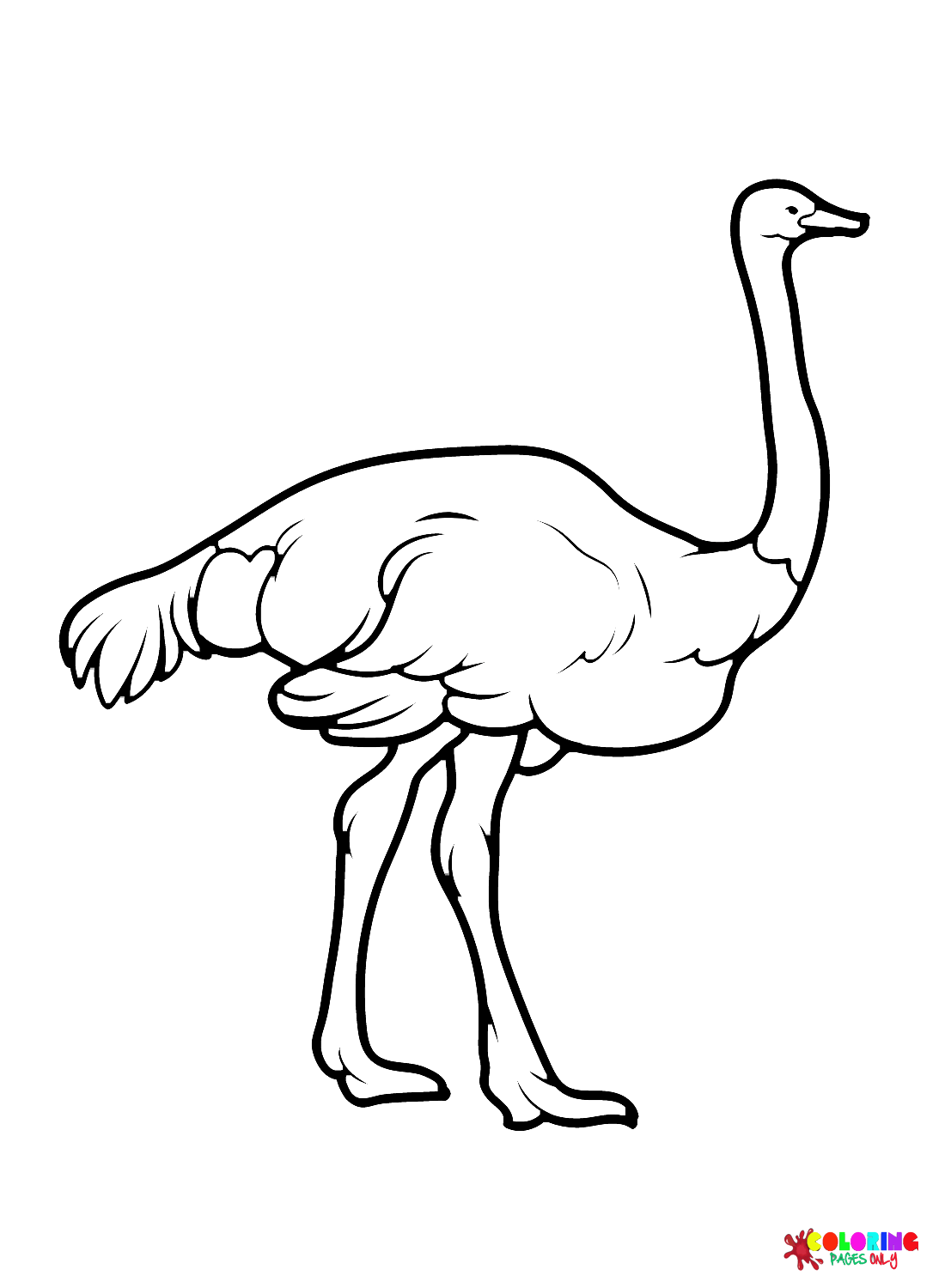 Emu Staande van Emu