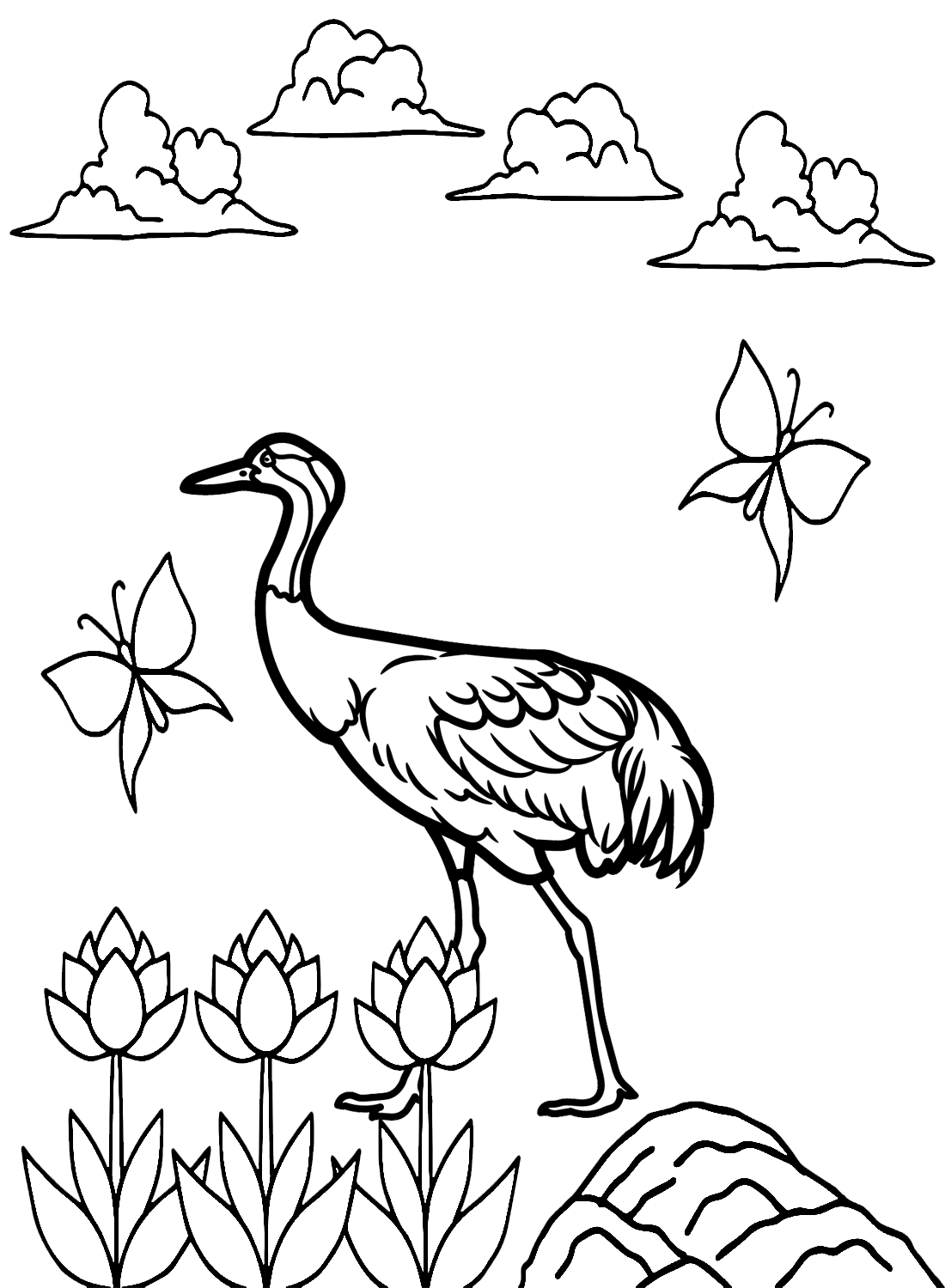 Pájaro grulla común de Crane Bird