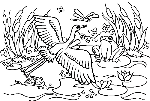 Kranich-Vogel-Fliegen