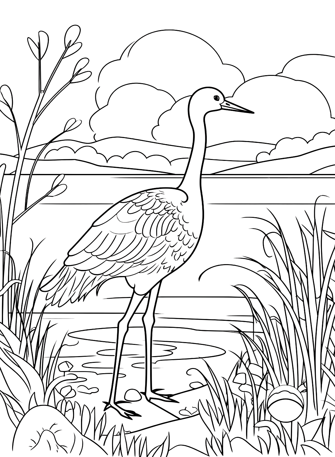 Kranichvogel steht im Teich von Crane Bird