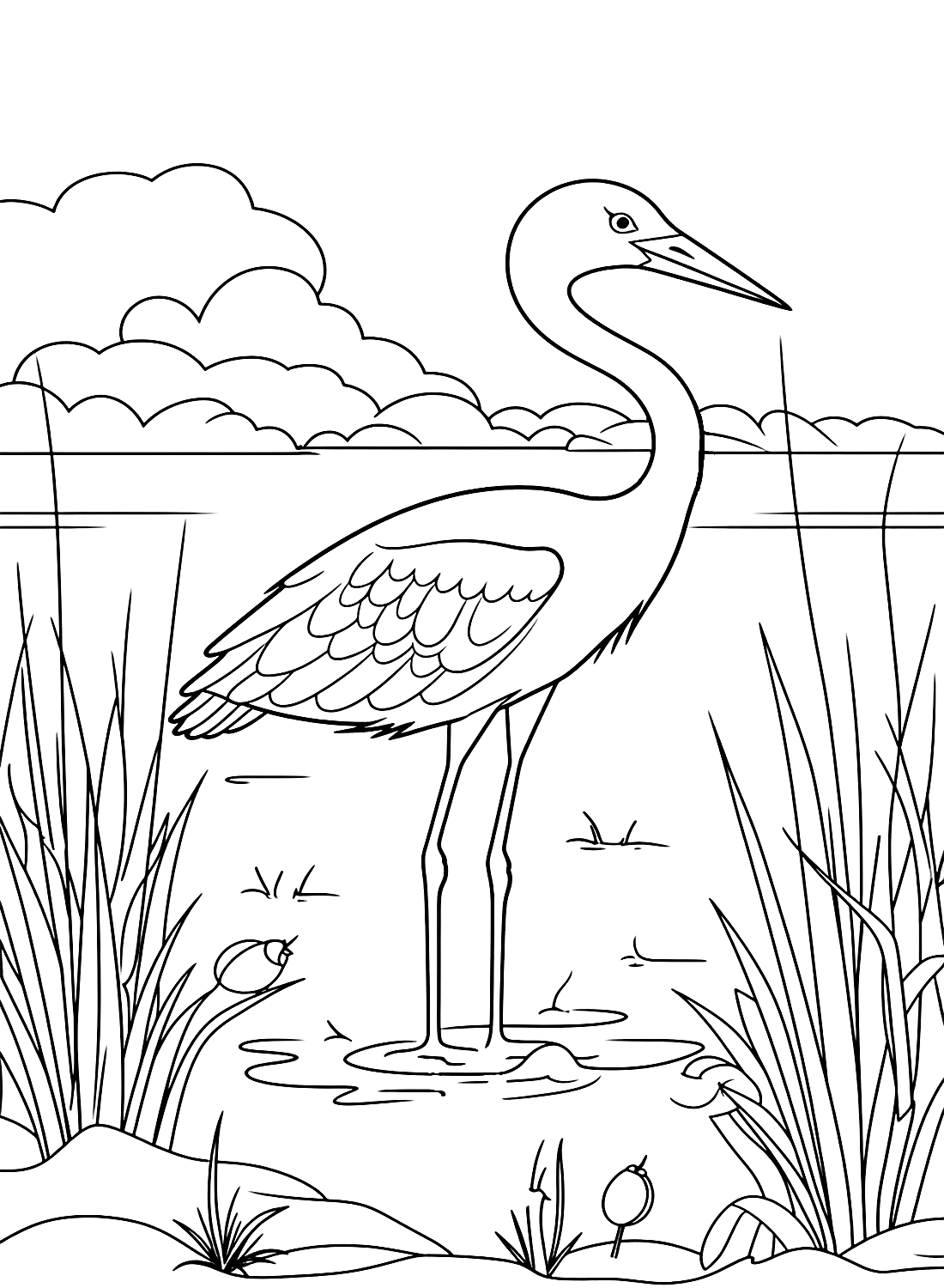 Kranich in einem Teich von Crane Bird