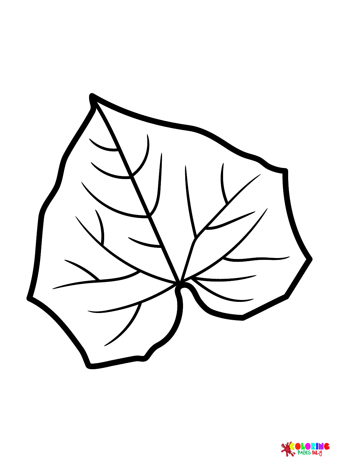 Foglia di cetriolo dalle foglie
