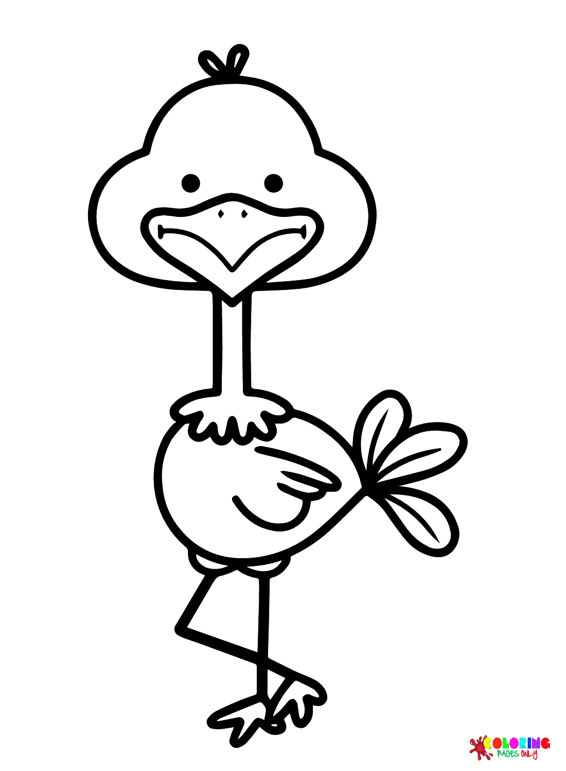 鸵鸟的可爱鸵鸟卡通