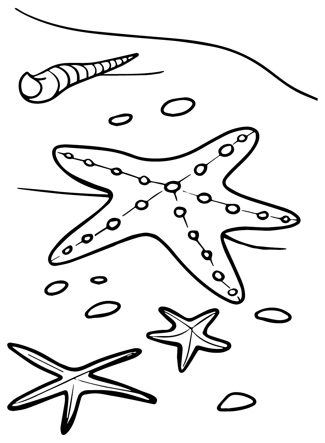 Descargar Estrella de mar de Estrella de mar