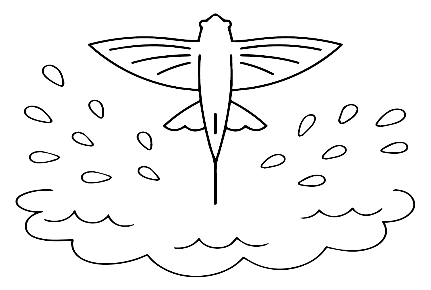 رسم السمكة الطائرة من السمكة الطائرة