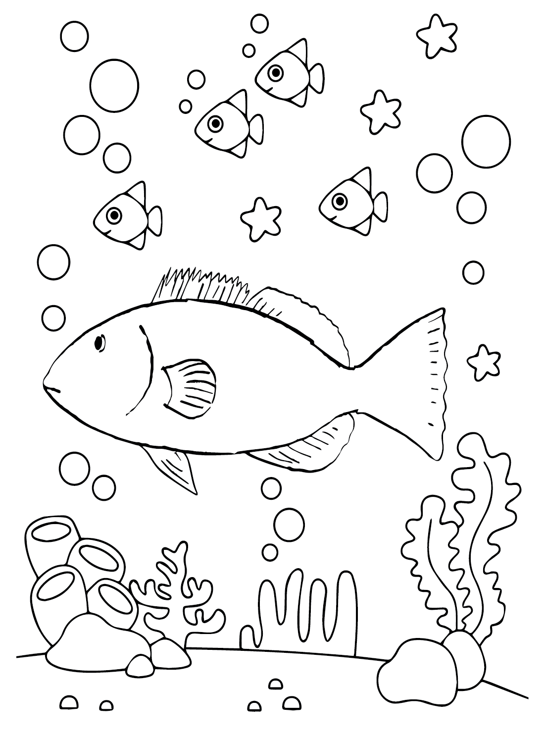 Drawing Grouper from Grouper